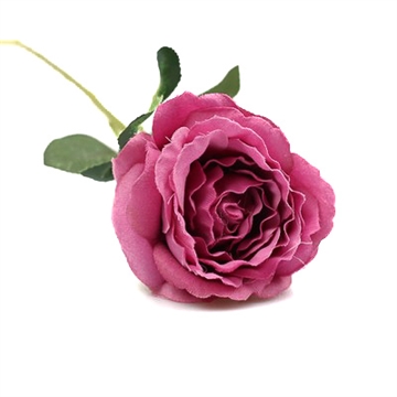 Silkerose lys lilla